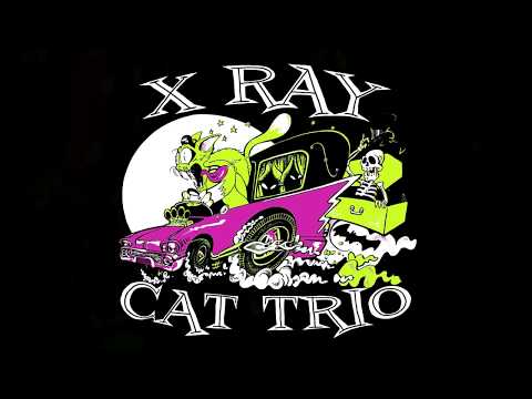 X Ray Cat Trio - Please Gimme Something - Lux Lives, Edinburgh 2017