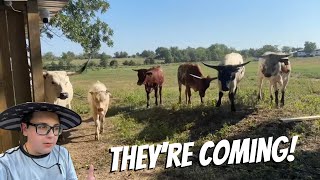 I Hope They Slow Down!