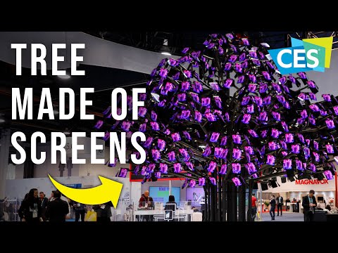 We Found the COOLEST TECH at CES 2020