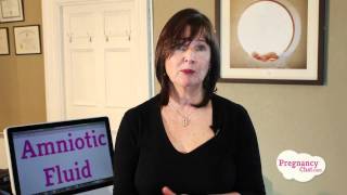 Pregnancy Amniotic Fluid