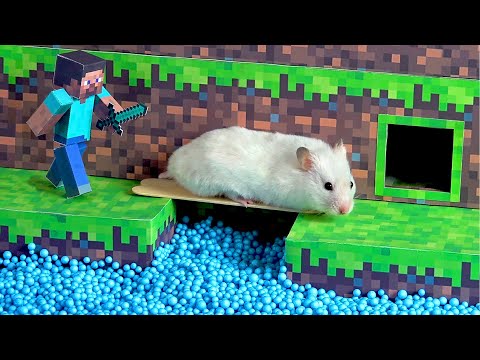 The Secret Life of my Hamster - Hamster Minecraft Maze