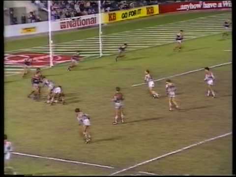1984 Panasonic Cup Final
