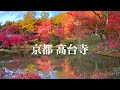 【京都高台寺】美しすぎる水鏡の紅葉 kyoto temple ko daiji 京都散歩vlog