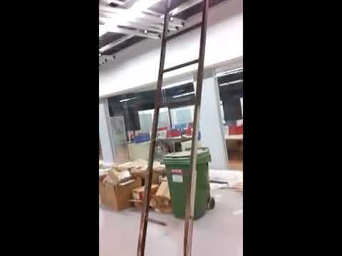 Cat Climbing Ladder This was In Bangazi Libiya BTV Studio.