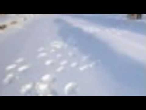 Creme Fresh - Aha! (feat. Juse Ju)