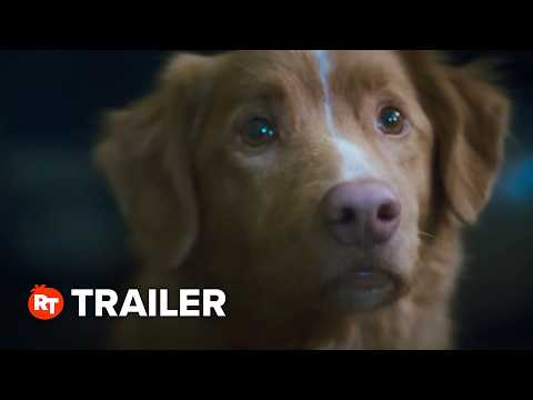 Good Boy Trailer #1 (2025)
