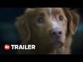 Good Boy Trailer 1 2025