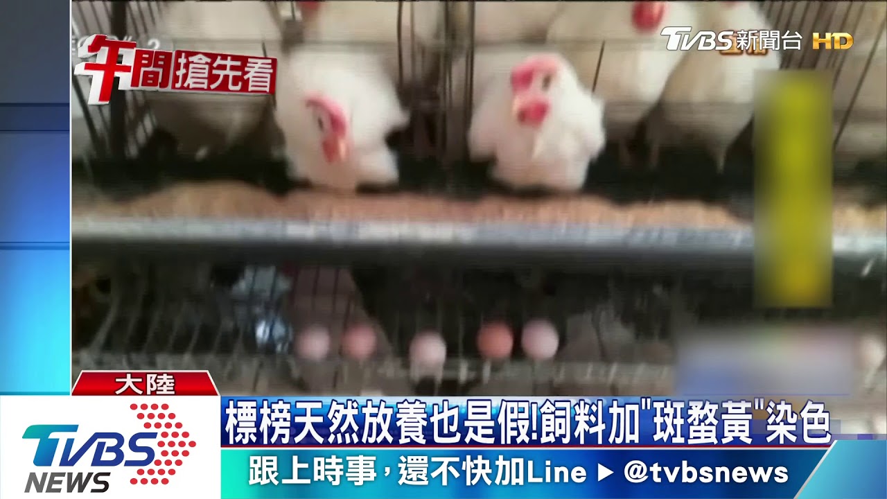 陸超市賣「假土雞蛋」! 蛋黃色澤深價貴一倍