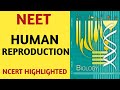 Human Reproduction Class 12 NCERT Chapter 03 Quick Revision Series NEET AIIMS JIPMER BIOLOGY