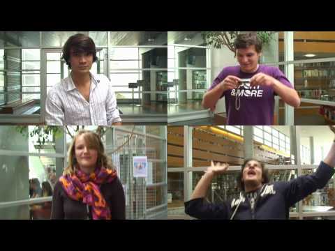 AUDENCIA 2010 HUMAN MOSAIC