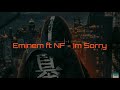 I M SORRY Eminem Ft NF