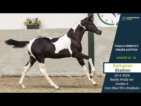 youtube preview