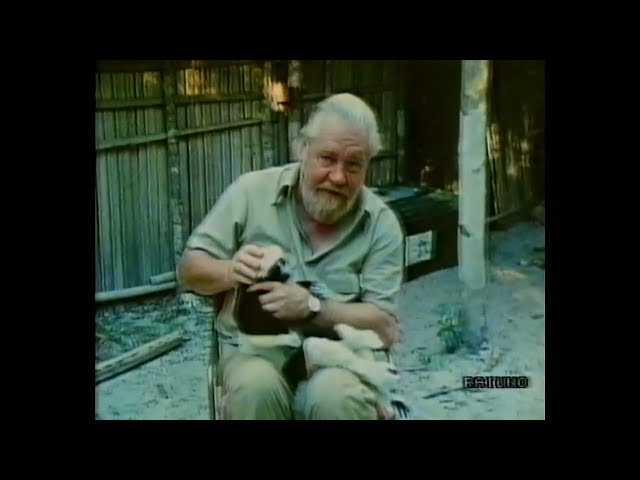 Vídeo relacionado con El arca inmóvil (El Libro De Bolsillo (Lb))