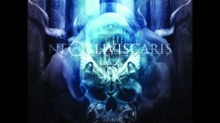 Ne Obliviscaris - Pyrrhic