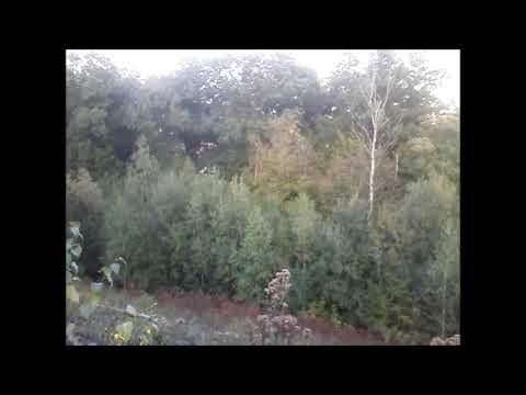 terril bois epinoy LIBERCOURT  part1