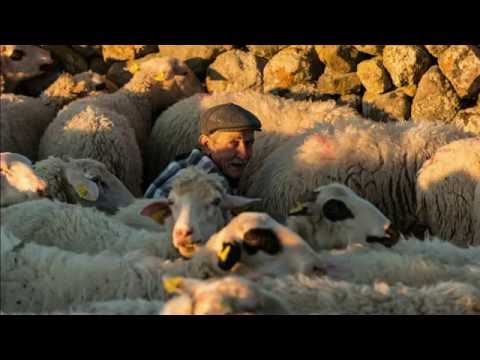 Ensemble Sarband: The Arabian Passion according to J. S. Bach