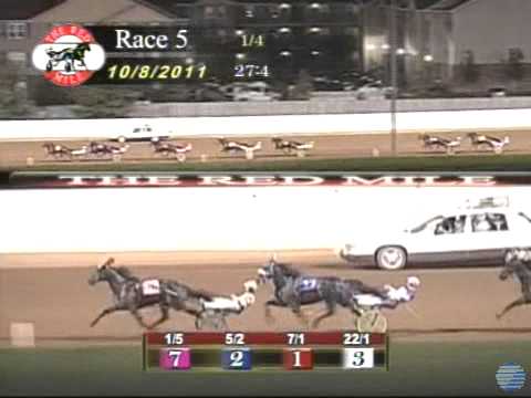 Strike An Attitude - World Record