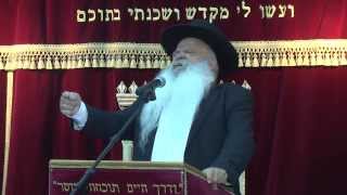 תהיה מלאך ואל תהיה חיה | הרב דניאל זר