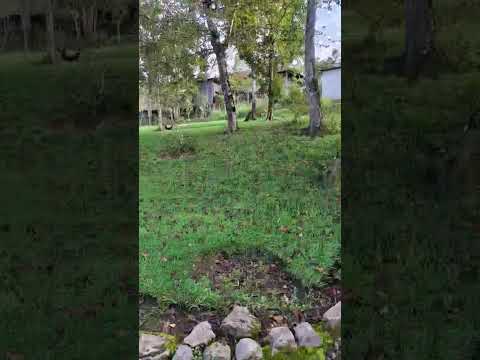 ---🌿 PROPIEDAD EN VENTA – SAN  RAFAEL LAS FLORES, SANTA ROSA✨$1,600,000 negociables