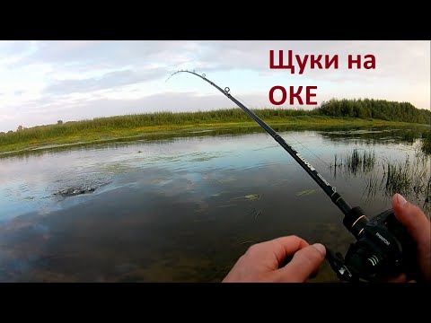 Осенний джиг на Оке. Щука на спиннинг