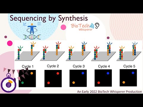 An Overview of Sequencing By Synthesis in First and Next Generation Sequencing - Learn in 10 Minutes
