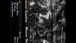 Nocturnal Symphony - Monsoon Winds (DEMO STREAM)