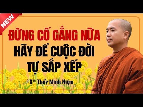 ĐỪNG CỐ GẮNG NỮA Hãy Để Cuộc Đời Tự Sắp Xếp | Thầy Minh Niệm
