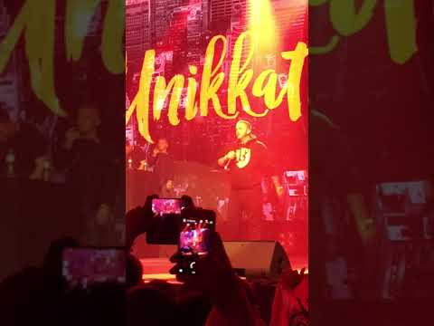 TBA - Live Koncert ne zvicerr