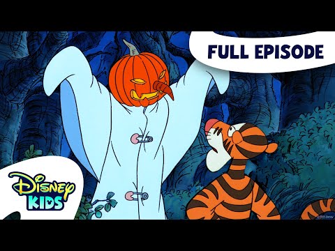 Tôi và Bóng của Tôi / Bắt Bệnh Nấc Cụt | Chuyến Phiêu Lưu Mới Của Winnie The Pooh Tập 23 | @disneykids (Me and My Shadow / To Catch a Hiccup | The New Adventures of Winnie the Pooh S1 E23 | @disneykids)