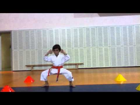 Shiko Dachi exercise... (1)