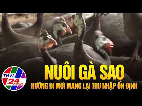 Tin video