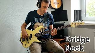 Video thumbnail for Aria Pro II RSB by Alex KinBass