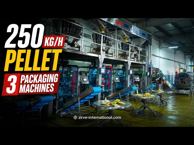 zirve extrusion | خط إنتاج شيبس البيليت بطاقة 250 كغ/ساعة مع 3 ماكينات تعبئة وتغليف | ZIRVE INTERNATIONAL
