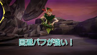ミラーウォリアーズ ピーター・パンの回避バフが強い