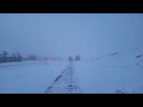 Josh Sparks and Steven Noronha - Unti