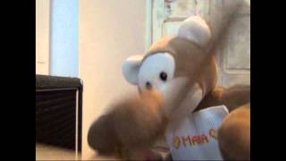 Rival Sons - Wild Animal Contest