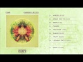 Fink - 'Too Late' 