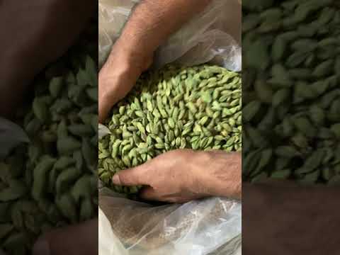 Green Cardamom Grade A 8mm Best quality