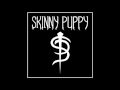 Skinny Puppy "Goneja"