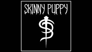 Skinny Puppy "Goneja"