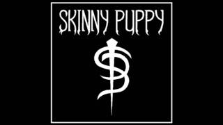 Skinny Puppy &quot;Goneja&quot;