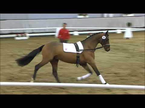 15 Mephisto v. Millennium/T. / Florestan I