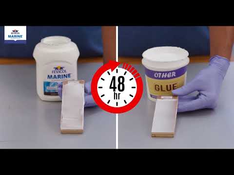 Fevicol Marine: The Exceptional Waterproof Adhesive Test on Ply!