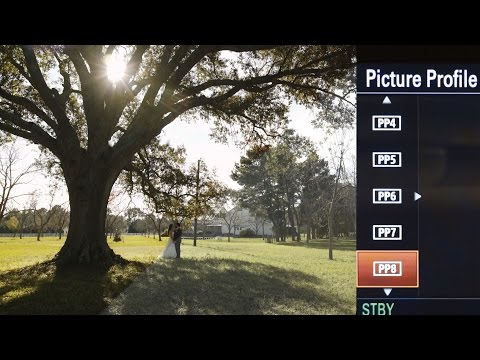 My Favorite Picture Profile For the Sony A7Sii, FS5, a6300, & a6500 (MattFlat)