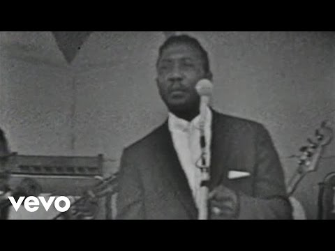 Muddy Waters - Got My Mojo Working (Live)