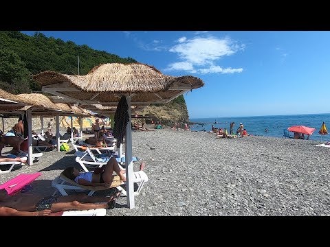 дюрсо смотреть онлайн видео в отличном качестве и без