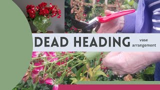 Dead heading climbing roses | flower arranging