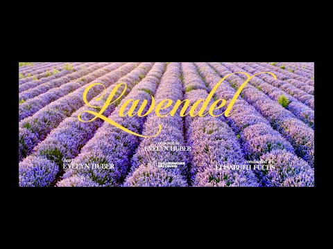 Lavendel (by Evelyn Huber)