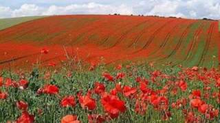 The Last Post &amp; Two Minutes Silence