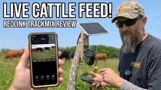 Reolink TrackMix LTE-C Experiences & Review